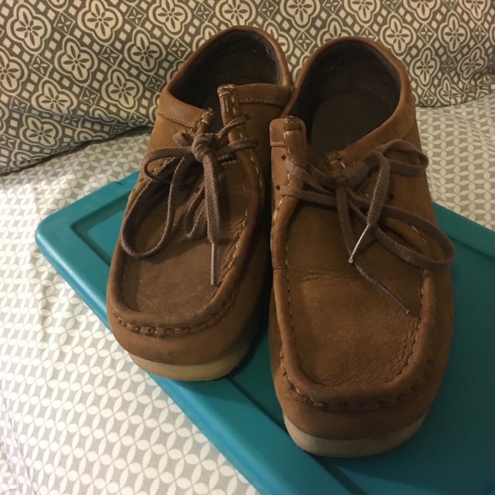 Clark’s wallabies